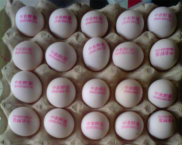 超市雞蛋的日期標注是用什么噴碼機